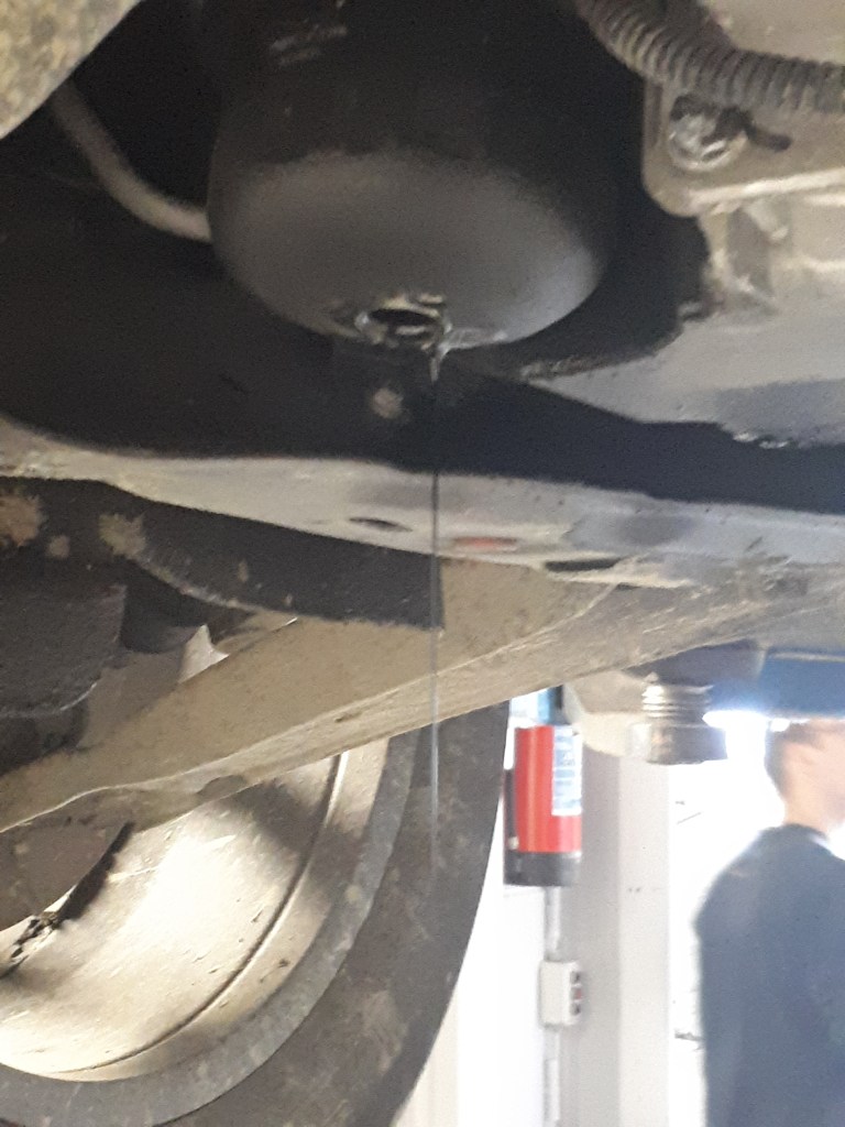 Afbeelding met persoon, buiten
Automatisch gegenereerde beschrijving